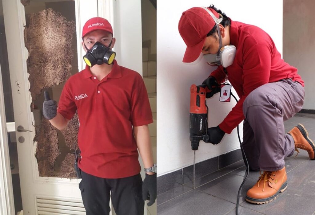 Jasa anti rayap Jakarta